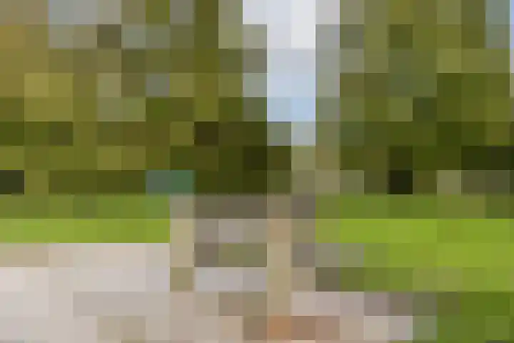 Rode Kruislaan 78 Diemen thumbnail 25
