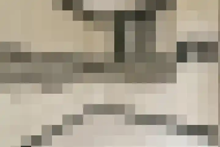 Rode Kruislaan 78 Diemen thumbnail 9