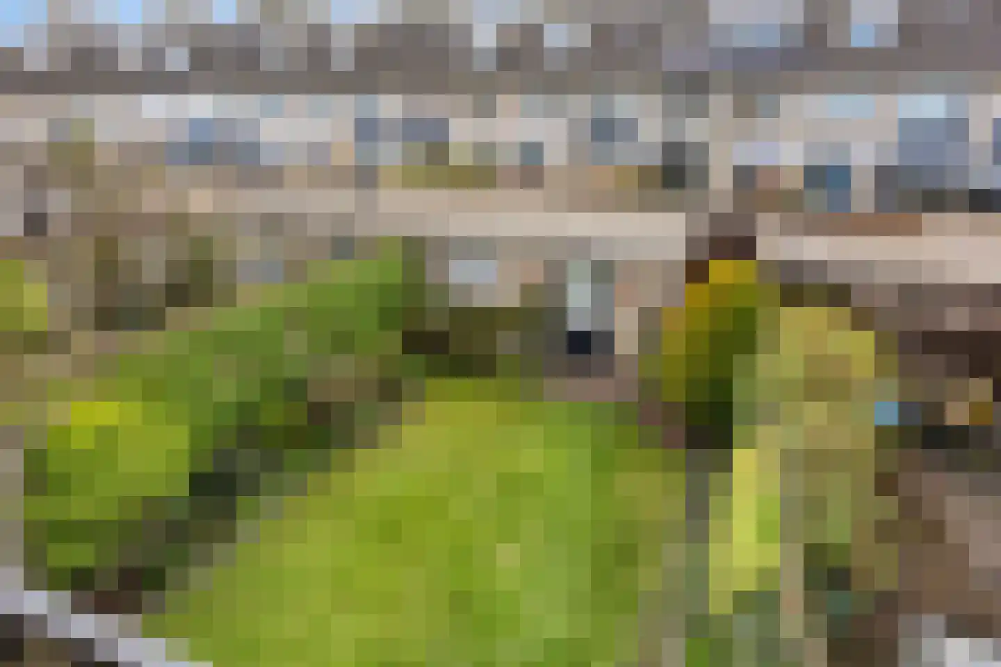 Rode Kruislaan 89 Eindhoven thumbnail 32