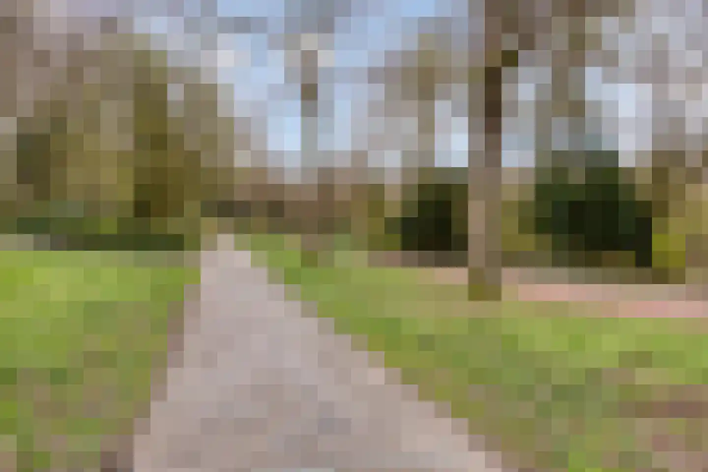 Rode Kruislaan 89 Eindhoven thumbnail 40