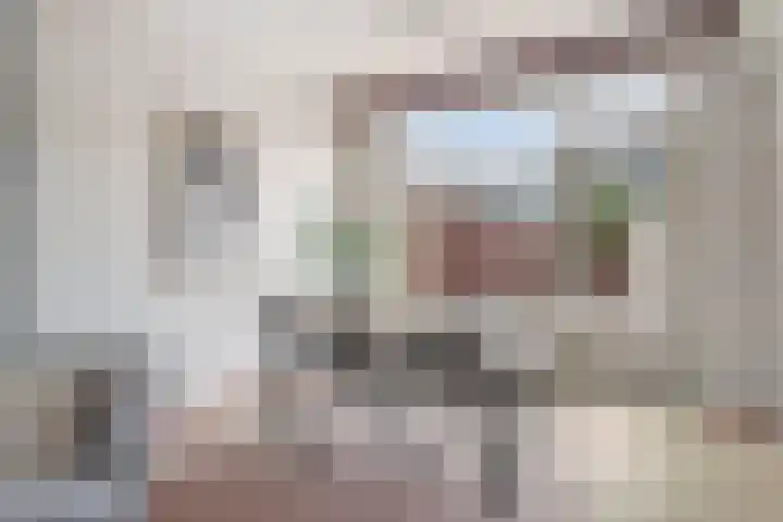 Rode Kruislaan 99 Eindhoven thumbnail 11