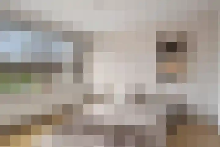 Rode Kruislaan 99 Eindhoven thumbnail 14