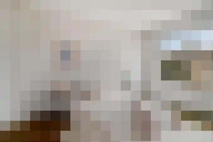 Rode Kruislaan 99 Eindhoven thumbnail 17