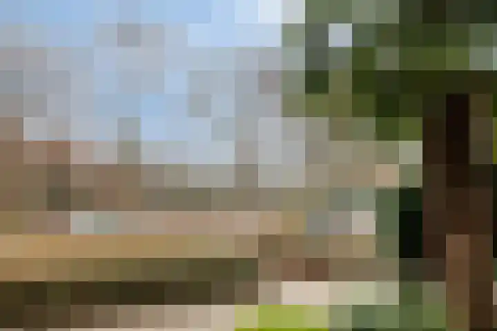 Rode Kruislaan 99 Eindhoven foto 2