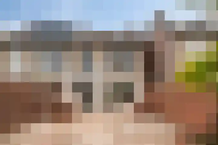 Rode Kruislaan 99 Eindhoven thumbnail 25
