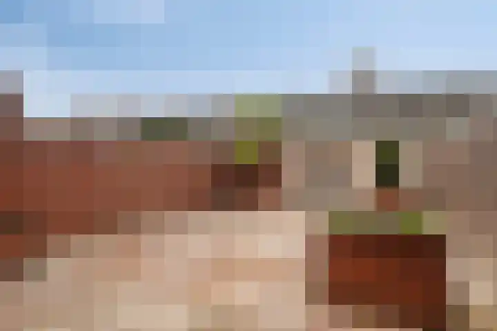 Rode Kruislaan 99 Eindhoven thumbnail 26