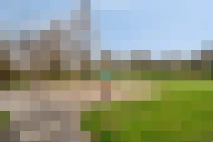 Rode Kruislaan 99 Eindhoven thumbnail 29