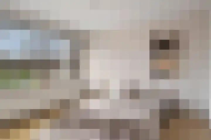 Rode Kruislaan 99 Eindhoven thumbnail 4