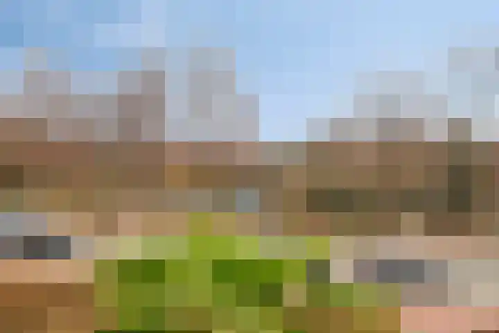 Rode Kruislaan 99 Eindhoven thumbnail 5