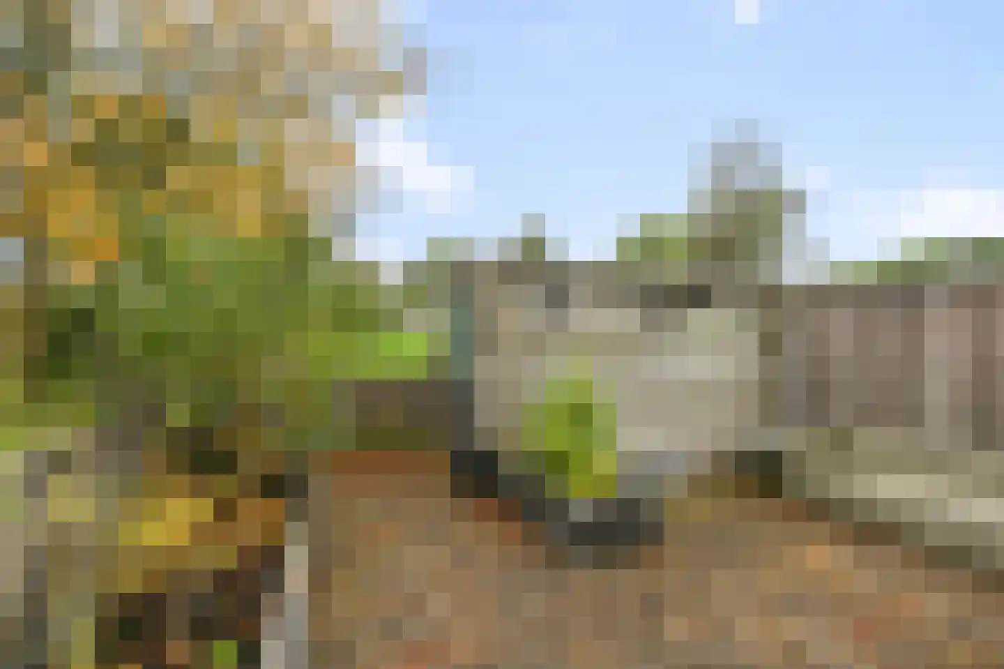 Rode Kruisstraat 3 D Amsterdam thumbnail 15