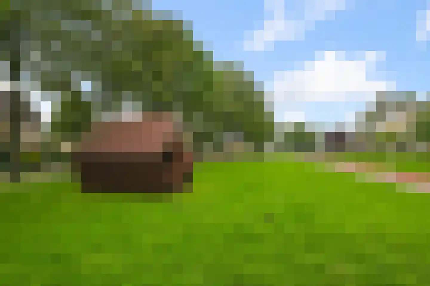 Rode Kruisstraat 3 D Amsterdam thumbnail 33