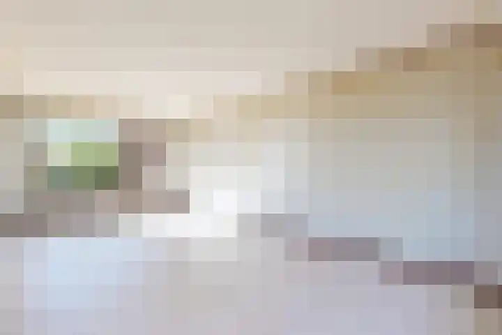 Rode Kruisstraat 34 Fijnaart thumbnail 18