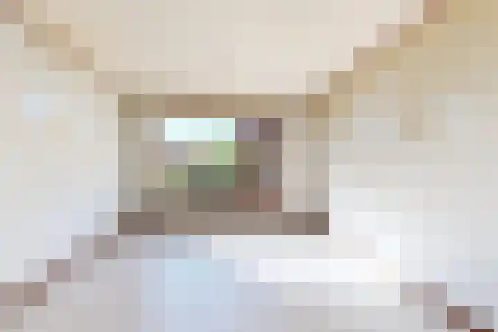 Rode Kruisstraat 34 Fijnaart thumbnail 19