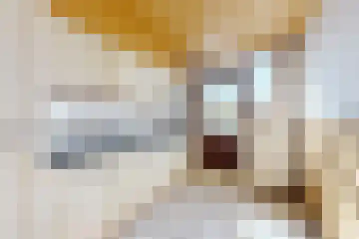 Rode Kruisstraat 34 Fijnaart thumbnail 21