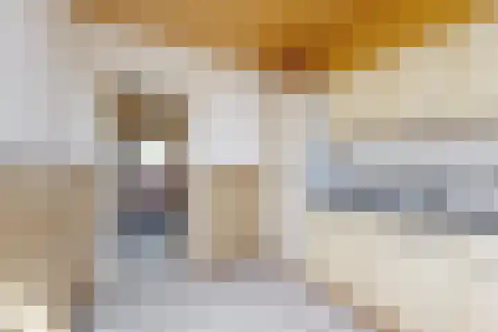 Rode Kruisstraat 34 Fijnaart thumbnail 22