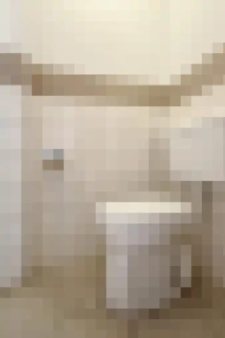 Rode Kruisstraat 34 Fijnaart thumbnail 25