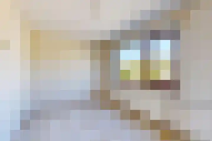 Rode Kruisstraat 34 Fijnaart thumbnail 36