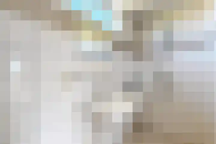 Rode Kruisstraat 34 Fijnaart thumbnail 38