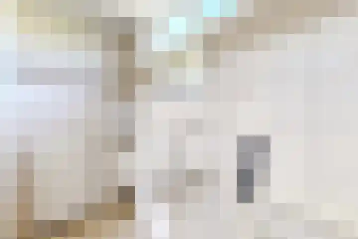 Rode Kruisstraat 34 Fijnaart thumbnail 39