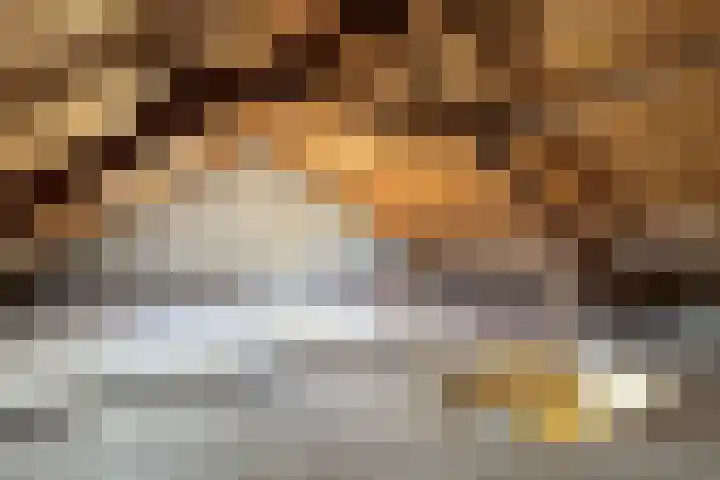 Rode Kruisstraat 34 Fijnaart thumbnail 41