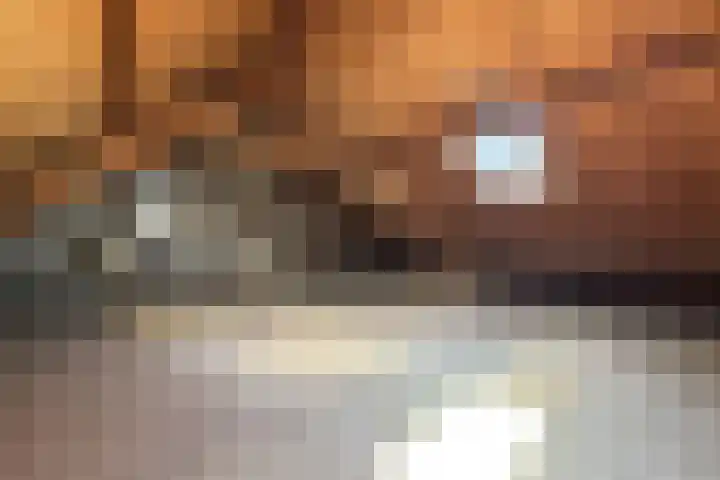 Rode Kruisstraat 34 Fijnaart thumbnail 43