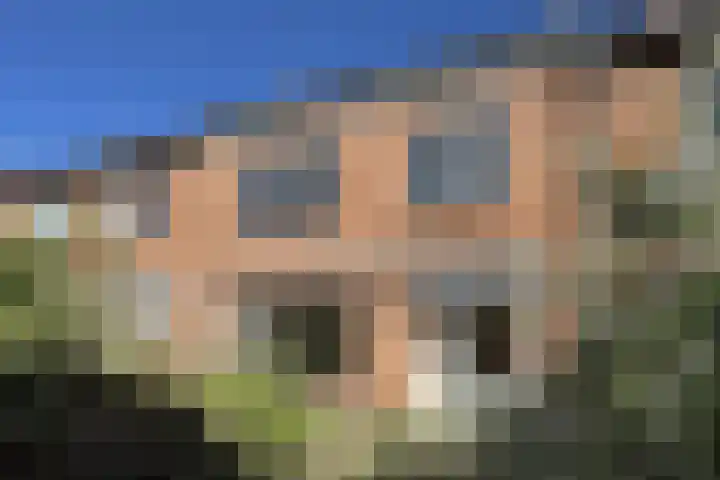 Rode Kruisstraat 34 Fijnaart thumbnail 44