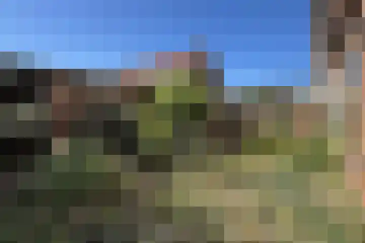 Rode Kruisstraat 34 Fijnaart thumbnail 45