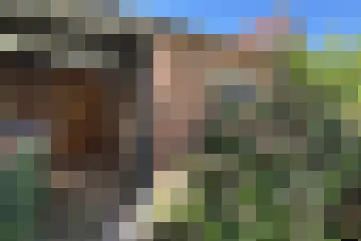 Rode Kruisstraat 34 Fijnaart thumbnail 46
