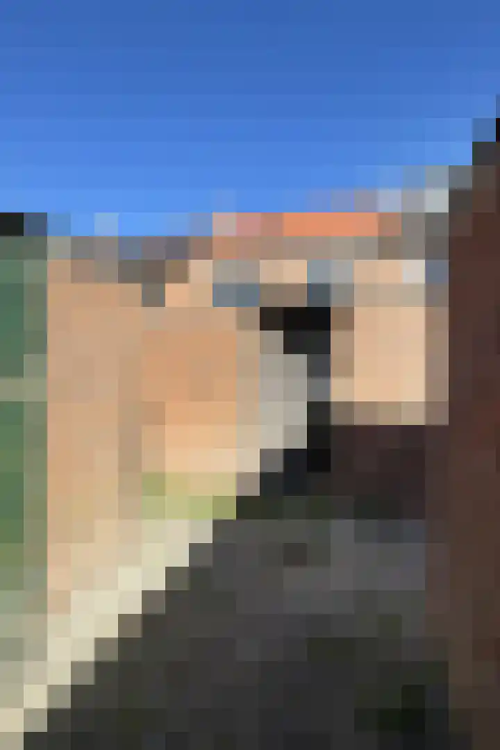 Rode Kruisstraat 34 Fijnaart thumbnail 47