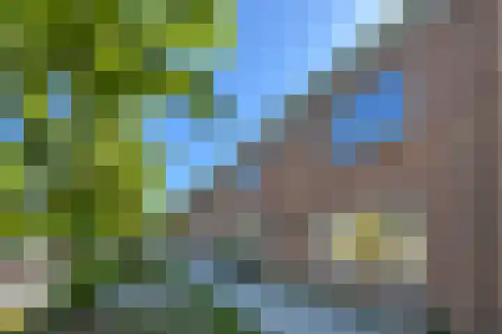 Rode Kruisstraat 34 Fijnaart thumbnail 48