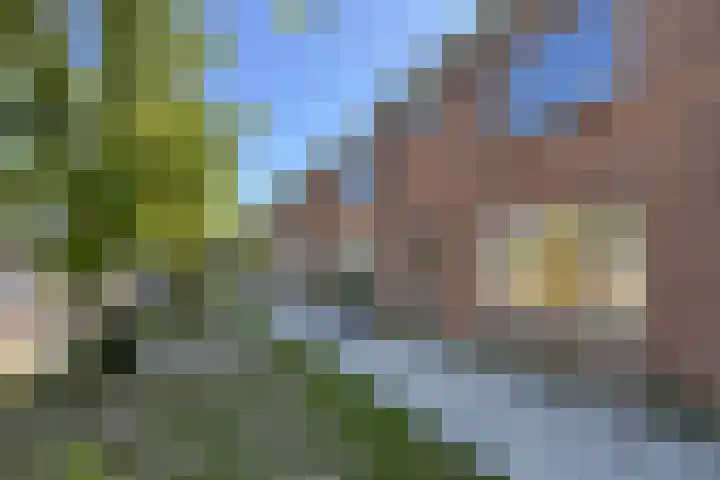 Rode Kruisstraat 34 Fijnaart thumbnail 49