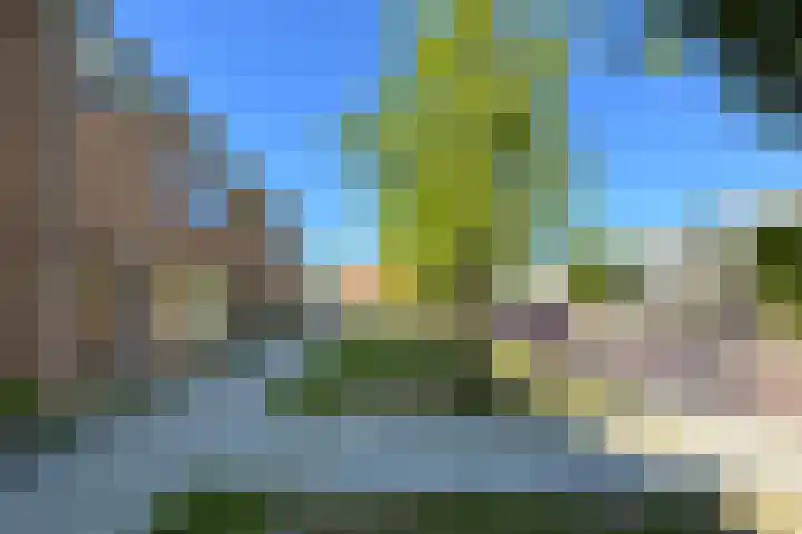 Rode Kruisstraat 34 Fijnaart thumbnail 50