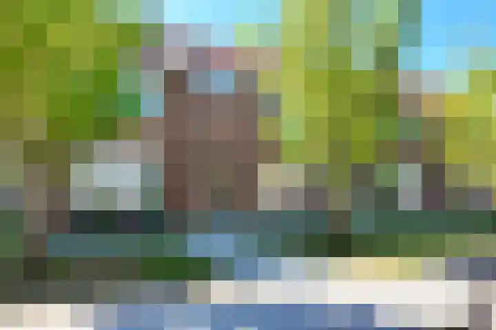 Rode Kruisstraat 34 Fijnaart thumbnail 51