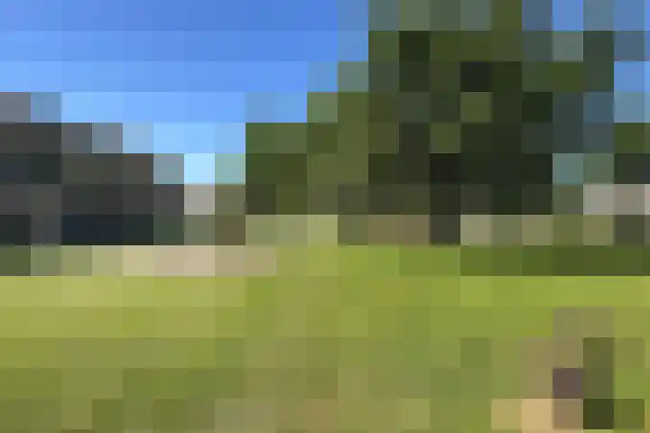 Rode Kruisstraat 34 Fijnaart thumbnail 54