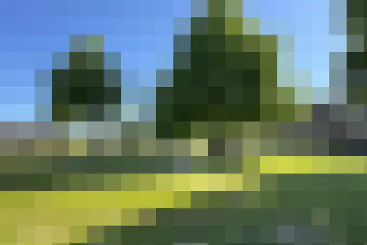Rode Kruisstraat 34 Fijnaart thumbnail 55