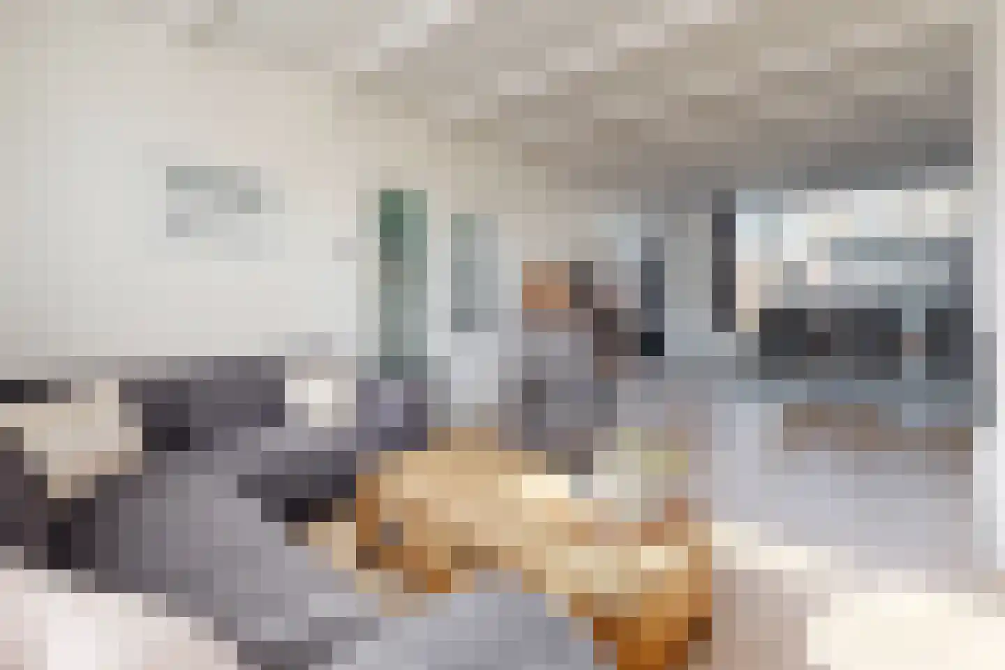 Rode Kruisstraat 8 Zevenbergen thumbnail 15