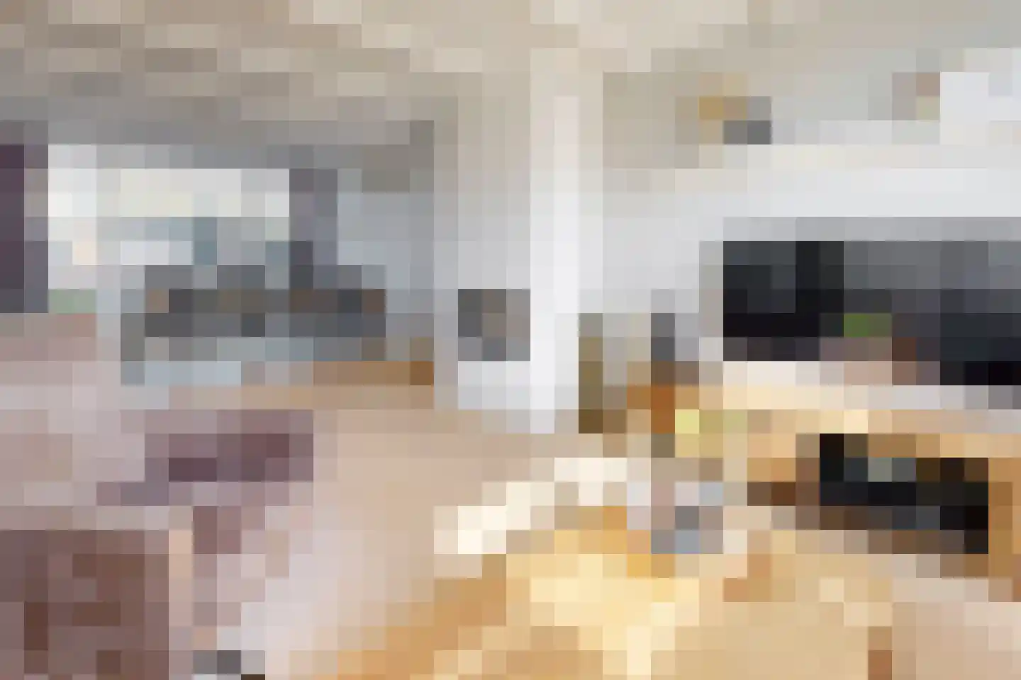 Rode Kruisstraat 8 Zevenbergen thumbnail 16