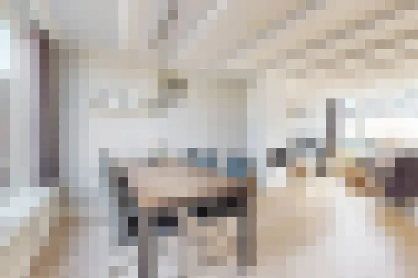 Rode Kruisstraat 8 Zevenbergen thumbnail 17
