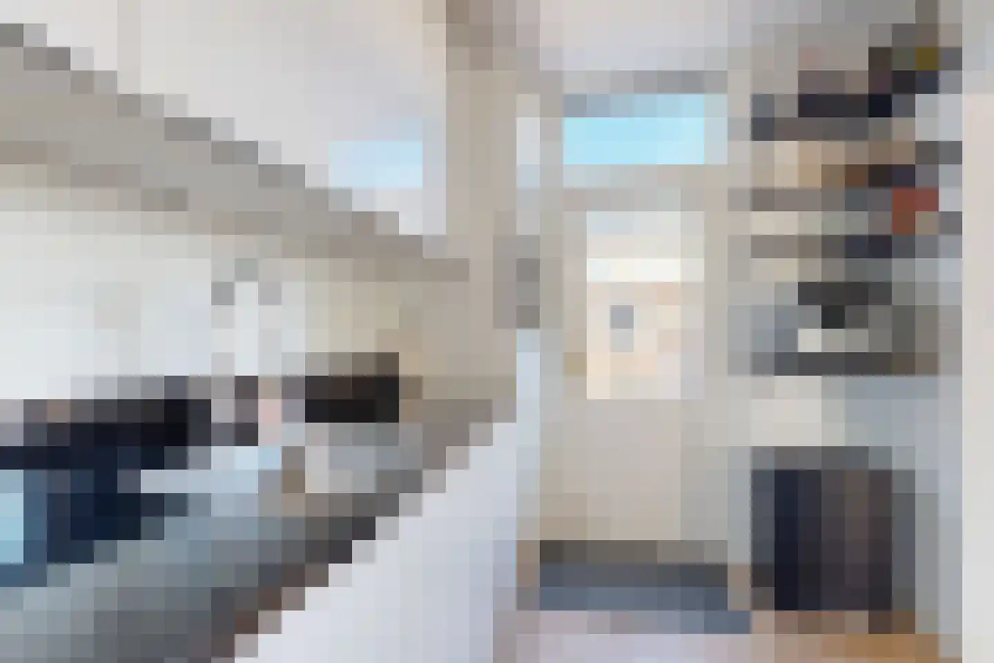 Rode Kruisstraat 8 Zevenbergen thumbnail 24