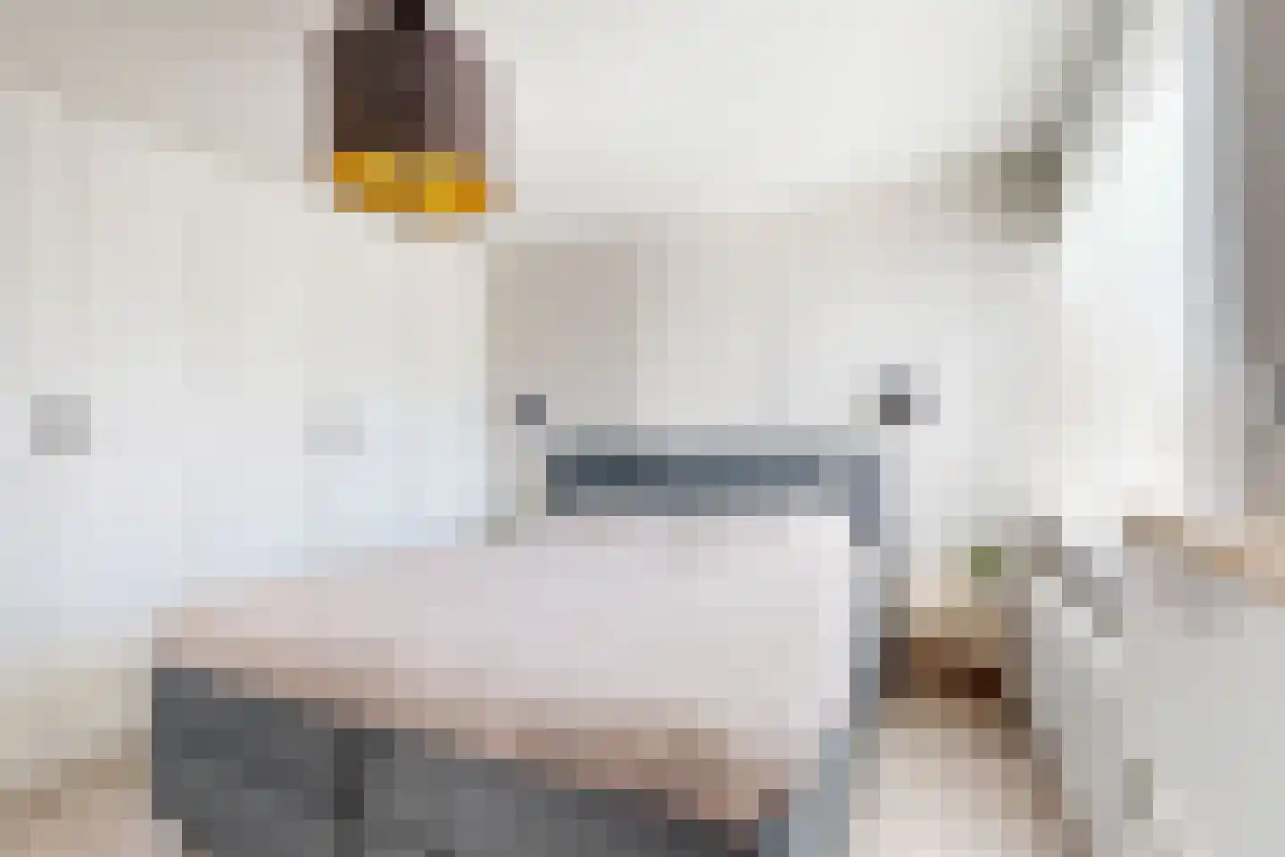 Rode Kruisstraat 8 Zevenbergen thumbnail 32