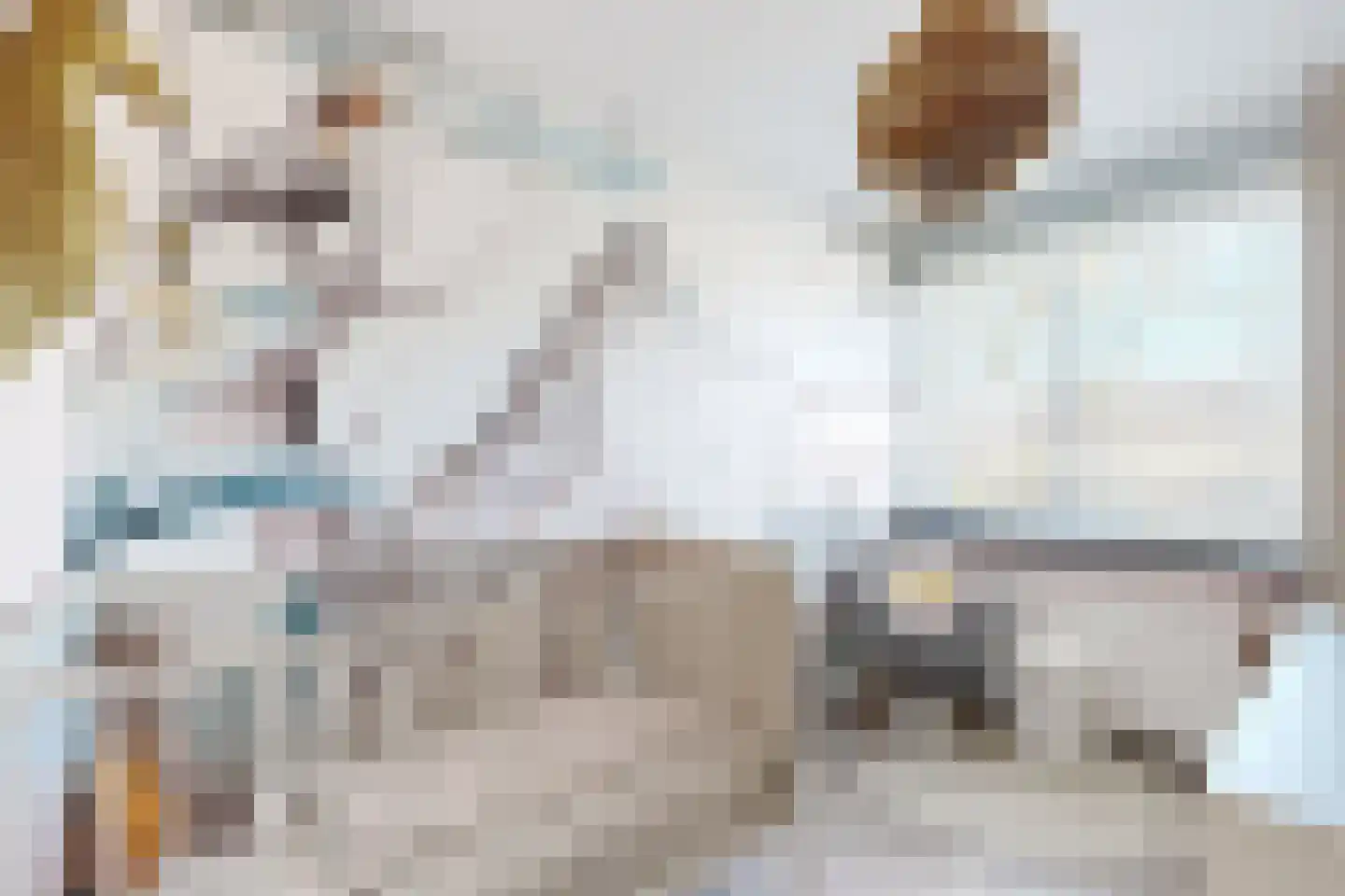 Rode Kruisstraat 8 Zevenbergen thumbnail 37