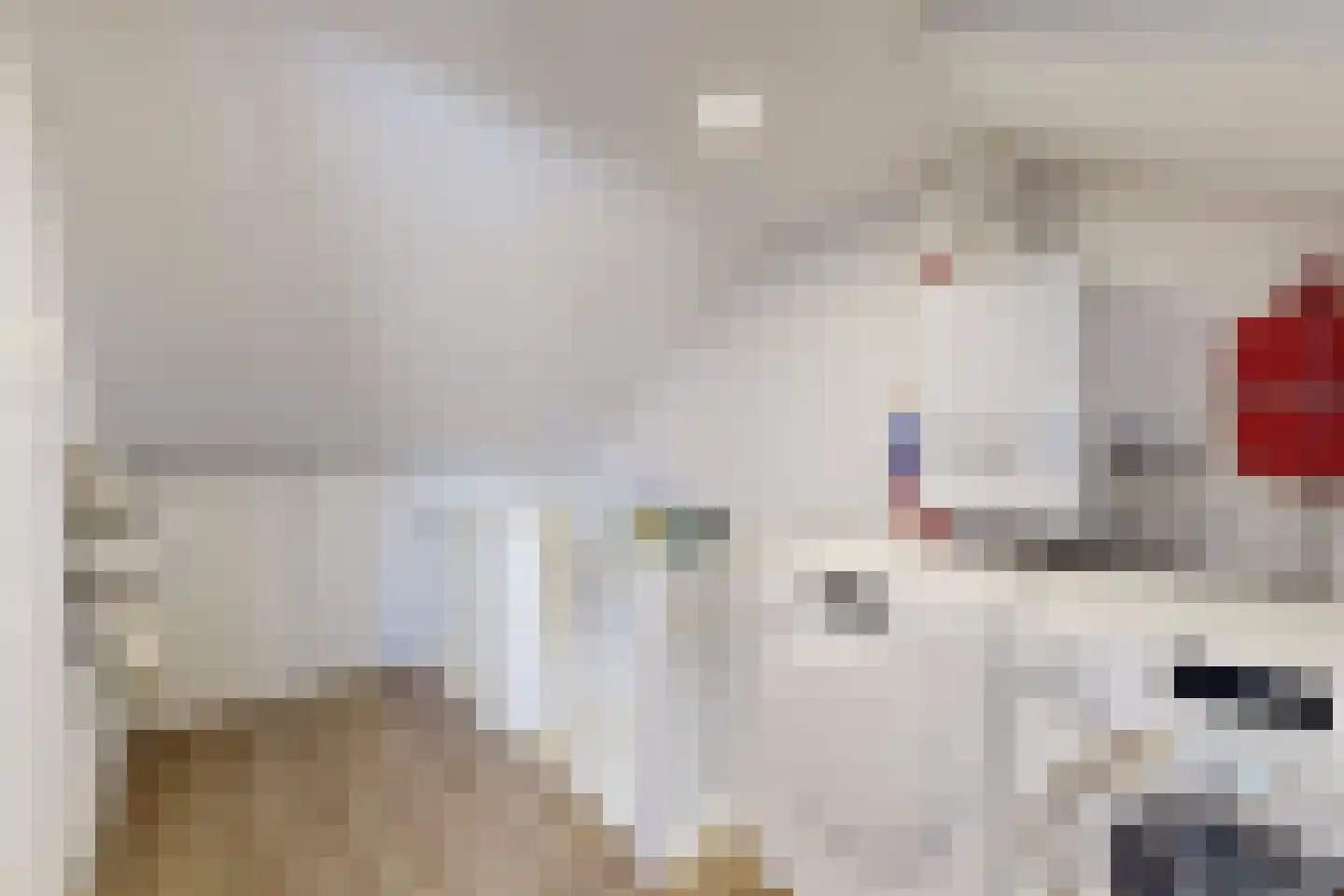 Rode Kruisstraat 8 Zevenbergen thumbnail 45