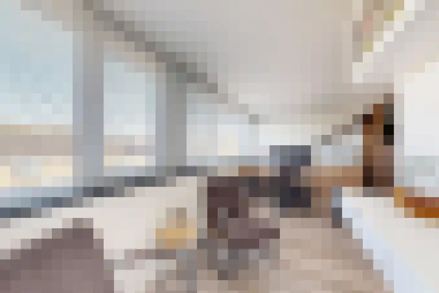 Rode Kruisstraat 8 Zevenbergen thumbnail 51