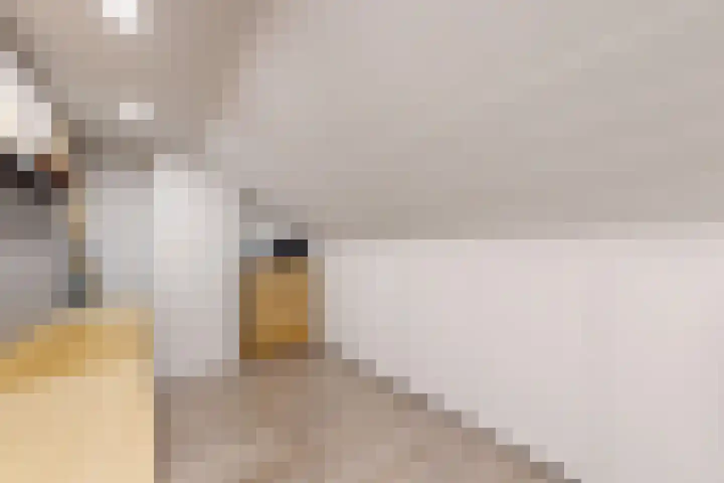 Rode Kruisstraat 8 Zevenbergen thumbnail 52