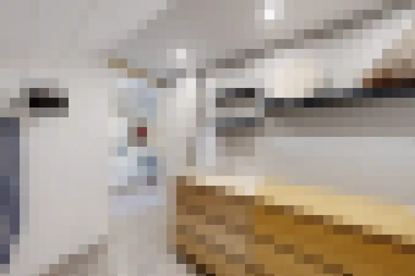 Rode Kruisstraat 8 Zevenbergen thumbnail 53