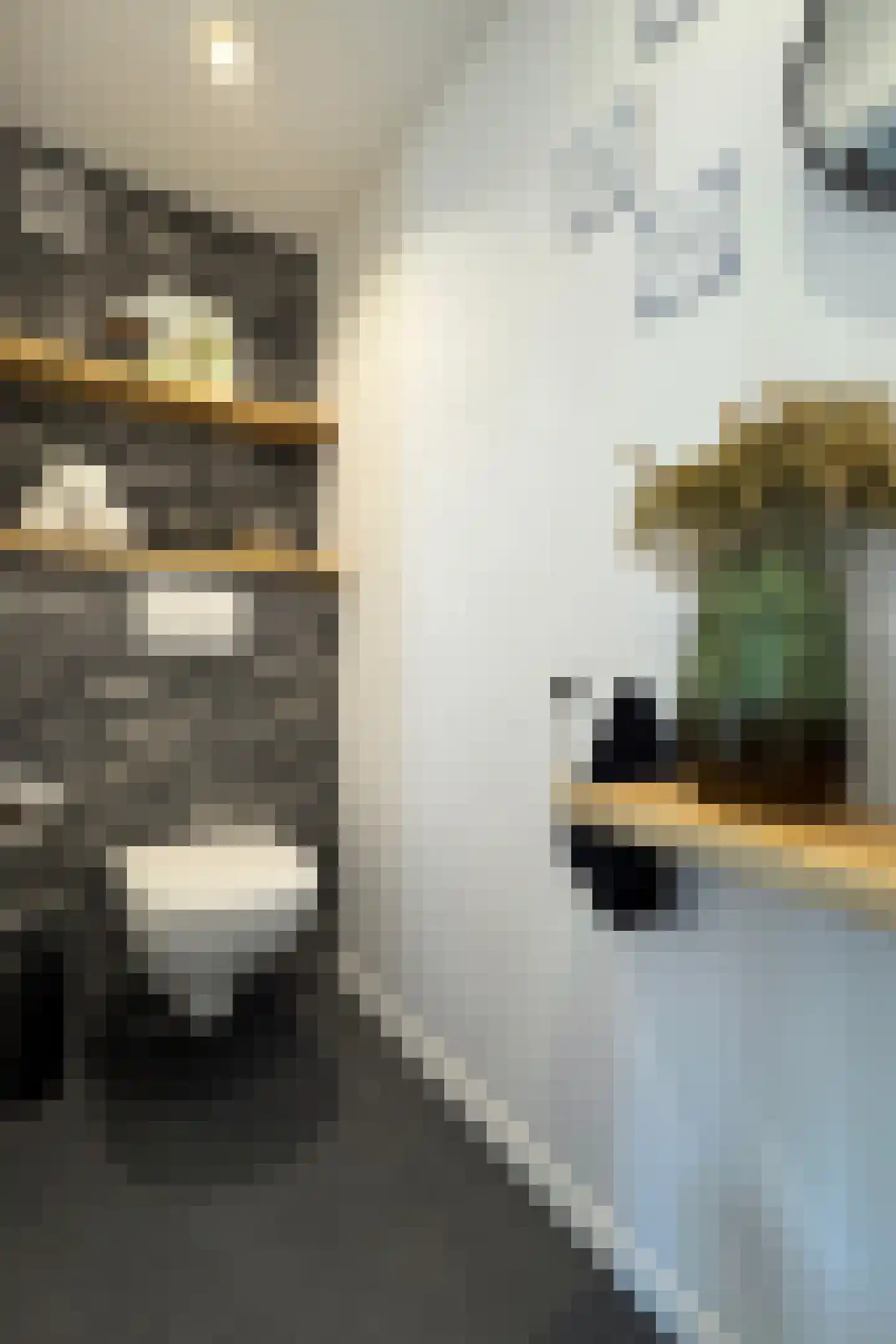 Rode Kruisstraat 8 Zevenbergen thumbnail 9
