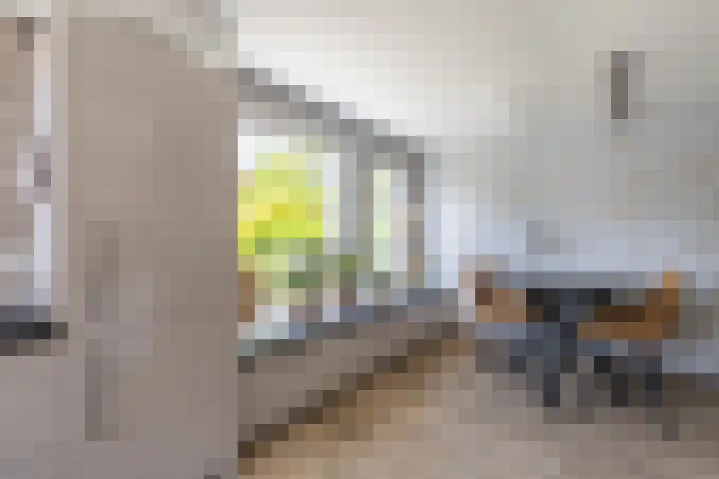 Rode Lynx 6 Heerhugowaard thumbnail 12