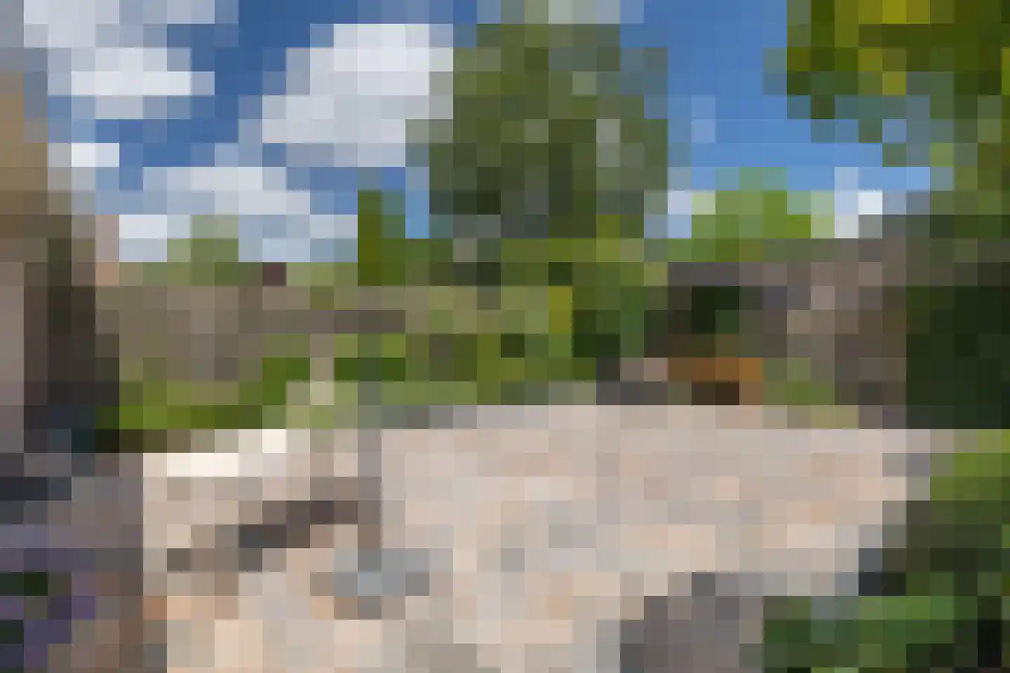 Rode Lynx 6 Heerhugowaard thumbnail 36