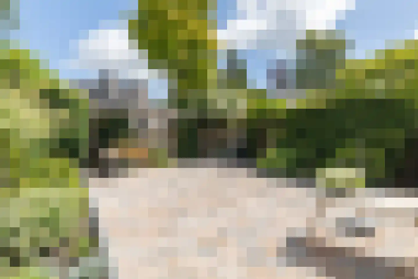 Rode Lynx 6 Heerhugowaard thumbnail 37