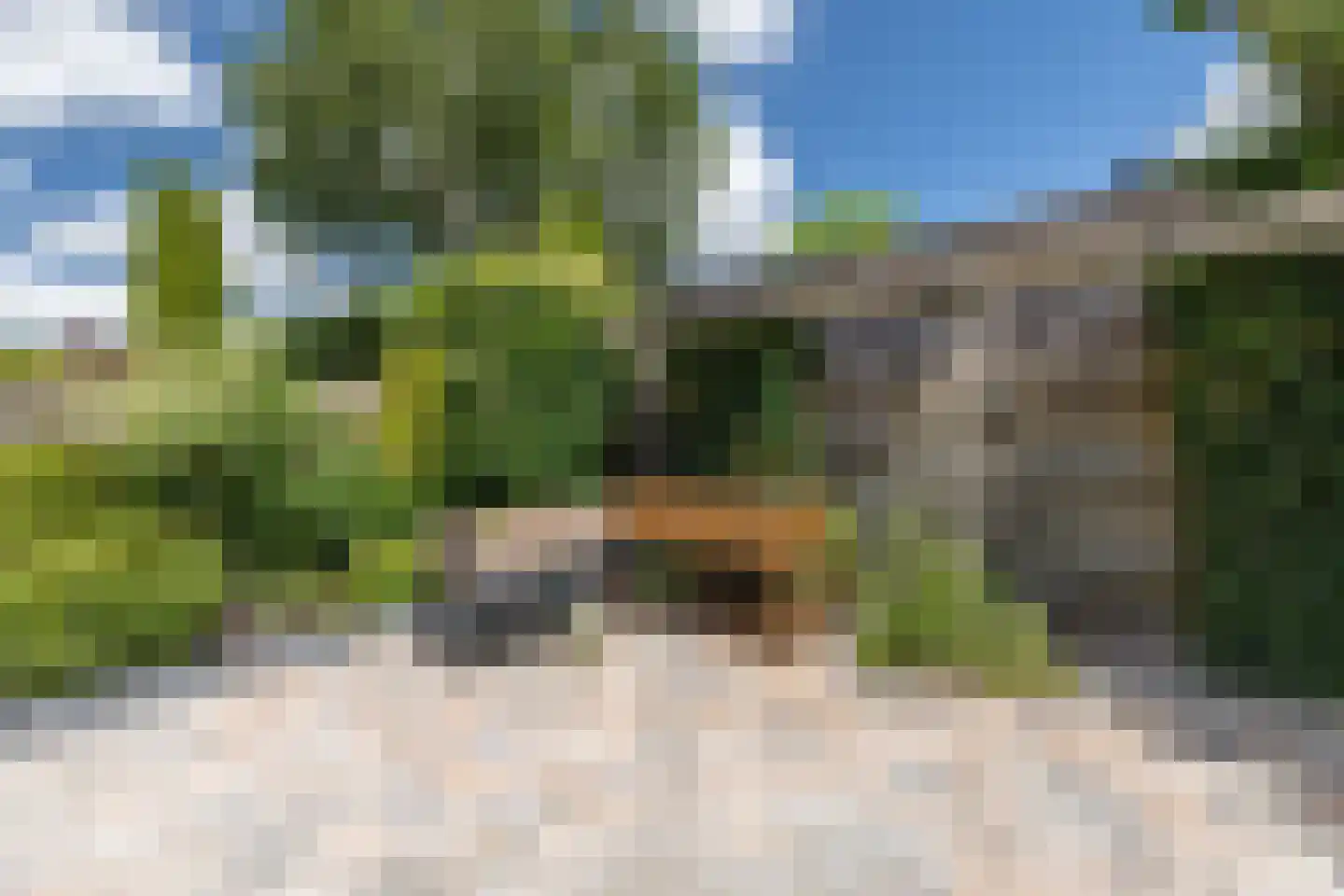 Rode Lynx 6 Heerhugowaard thumbnail 38